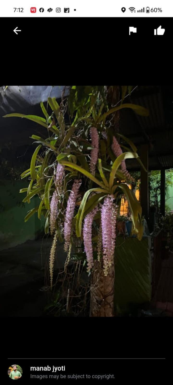 Orchid Park Homestay Sivasagar Dış mekan fotoğraf